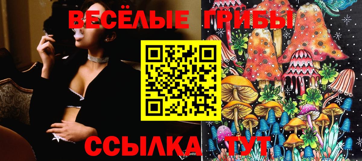 Псилоцибиновые грибы Psilocybine cubensis  Галлюциногенные грибы мухоморы  Чита  Вход с VPN 